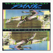 WIDESPREAD PANIC reissue of self-titled LP in today on vinyl. Also restocked on “Space Wrangler”.